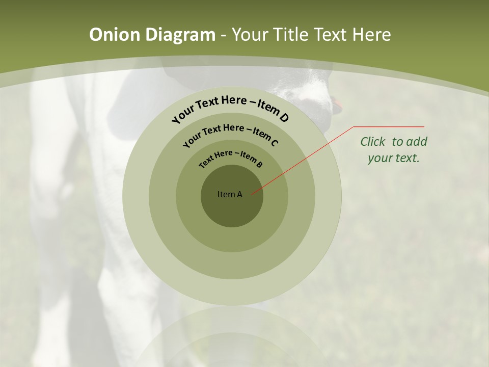 Puppy Of Pointer (Hunter Dog) With Funny Look PowerPoint Template