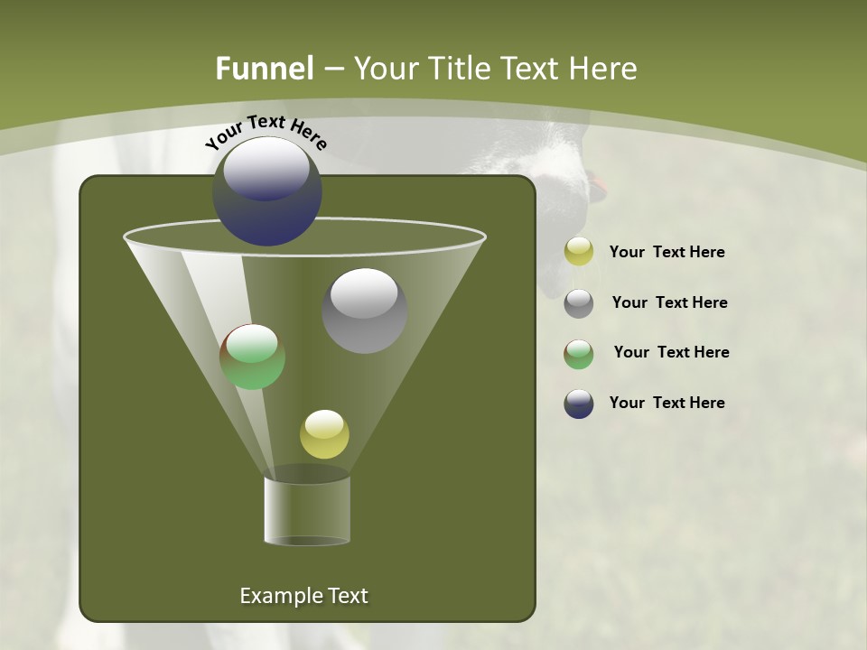 Puppy Of Pointer (Hunter Dog) With Funny Look PowerPoint Template