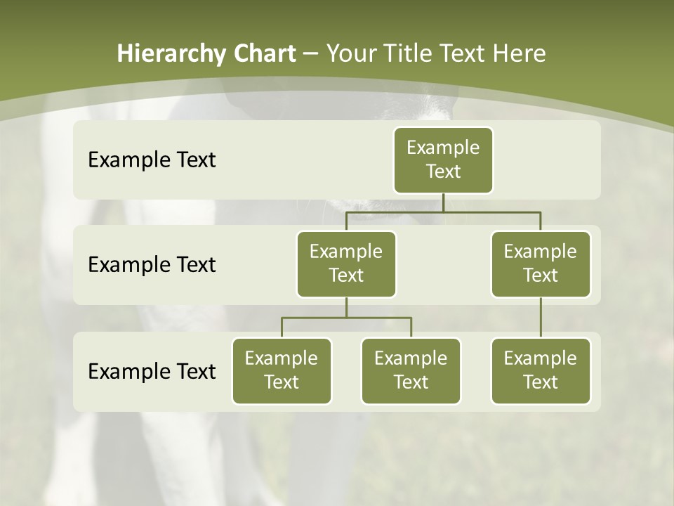 Puppy Of Pointer (Hunter Dog) With Funny Look PowerPoint Template