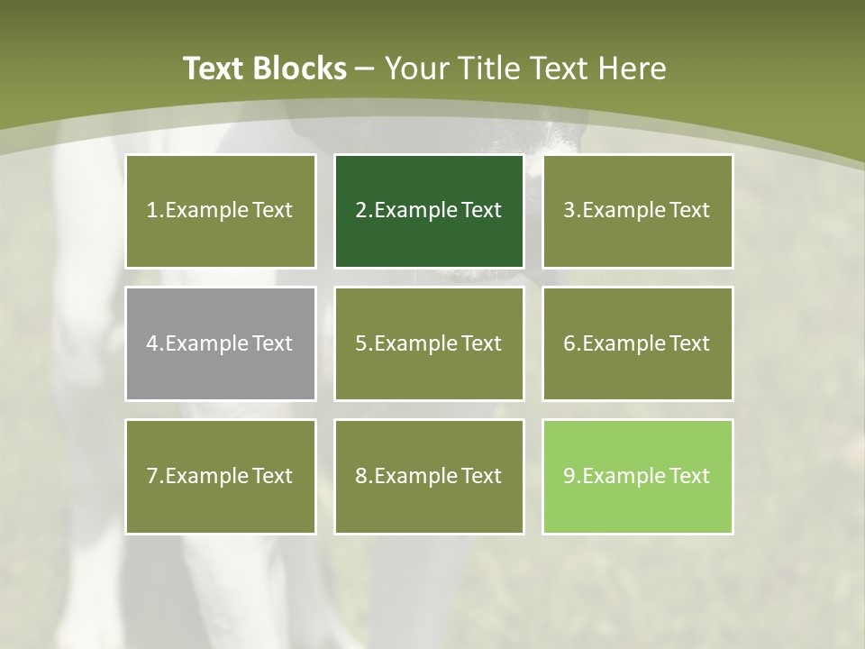 Puppy Of Pointer (Hunter Dog) With Funny Look PowerPoint Template