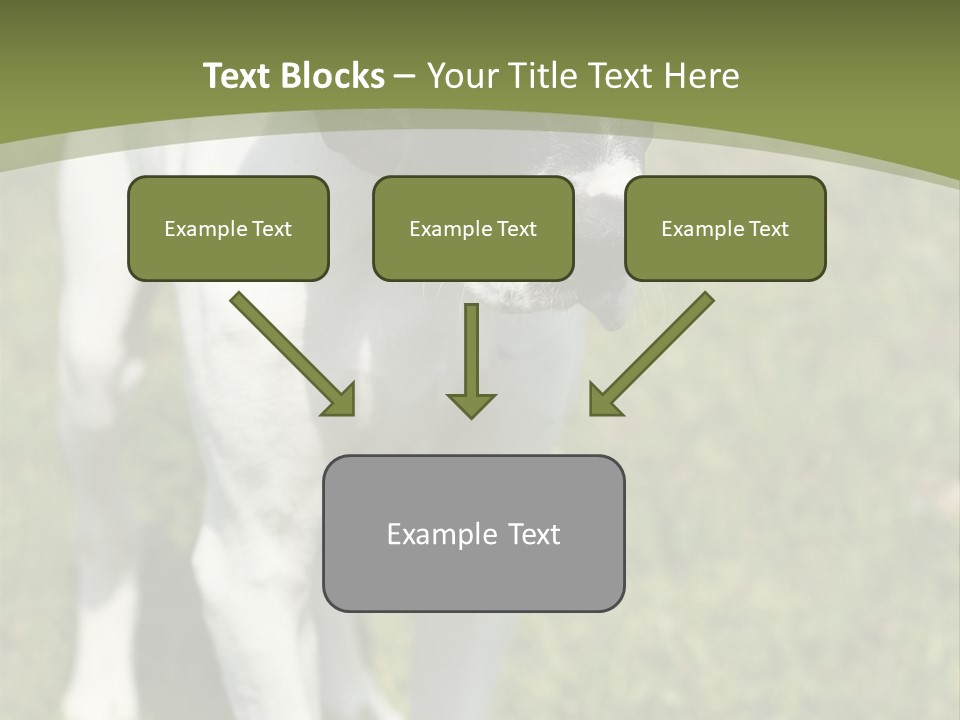 Puppy Of Pointer (Hunter Dog) With Funny Look PowerPoint Template