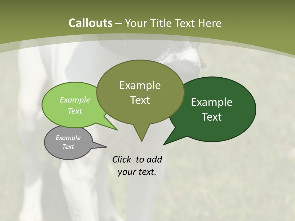 Puppy Of Pointer (Hunter Dog) With Funny Look PowerPoint Template