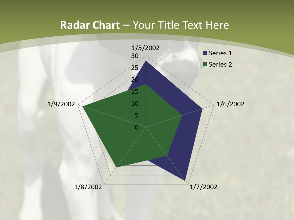 Puppy Of Pointer (Hunter Dog) With Funny Look PowerPoint Template