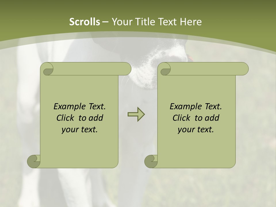 Puppy Of Pointer (Hunter Dog) With Funny Look PowerPoint Template