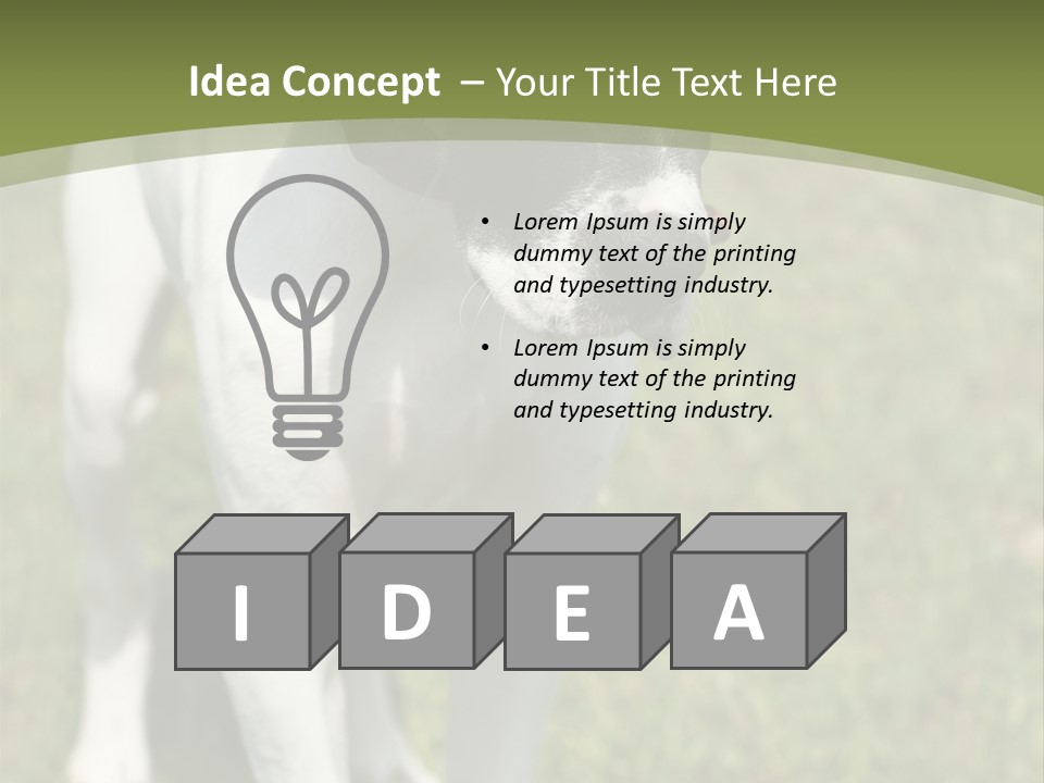 Puppy Of Pointer (Hunter Dog) With Funny Look PowerPoint Template