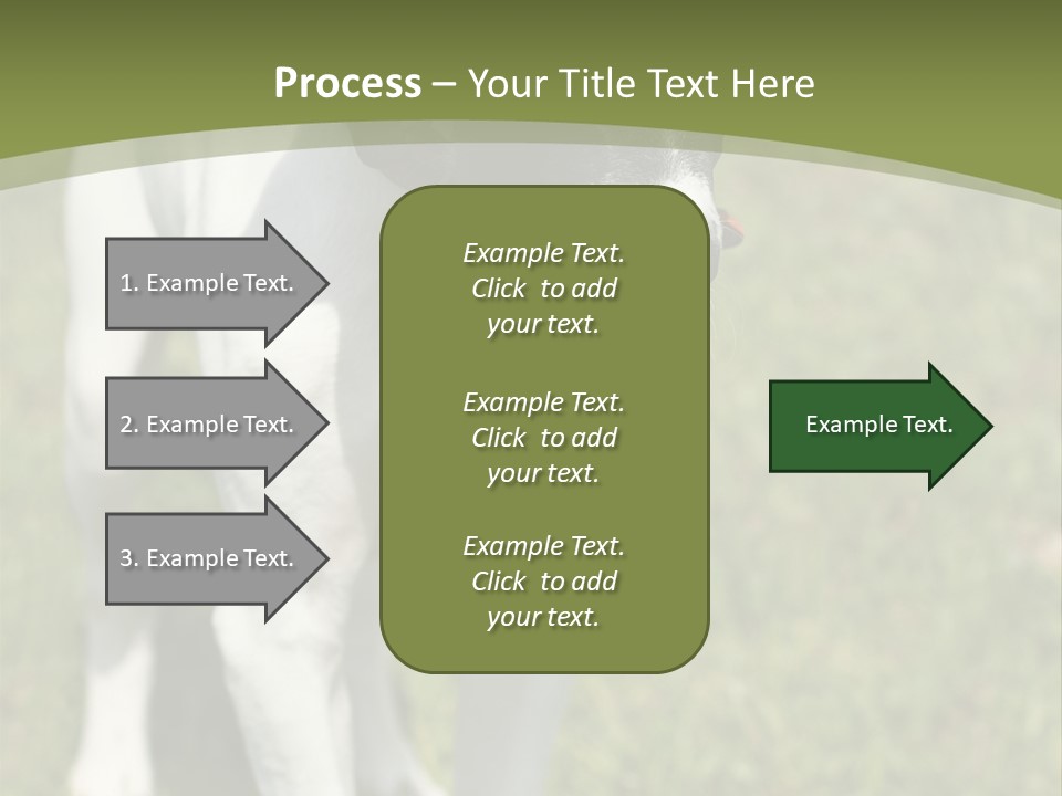 Puppy Of Pointer (Hunter Dog) With Funny Look PowerPoint Template