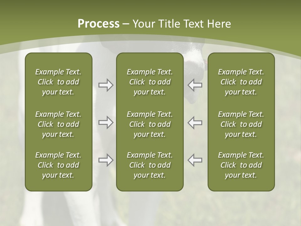 Puppy Of Pointer (Hunter Dog) With Funny Look PowerPoint Template