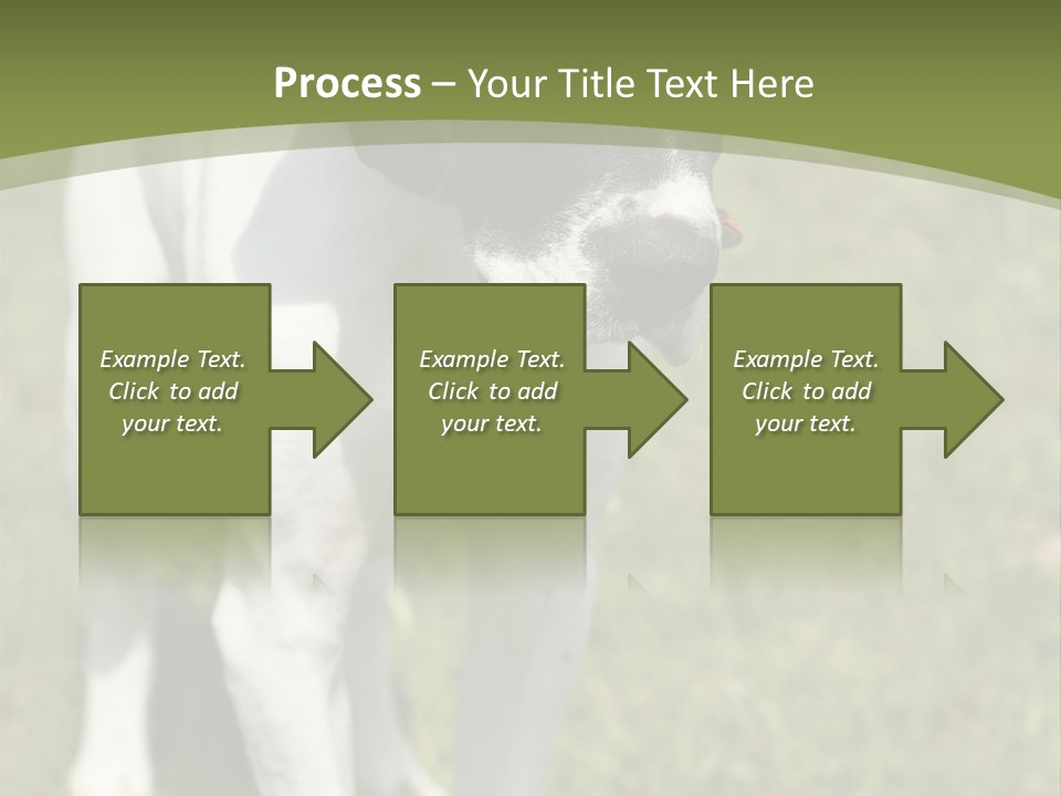 Puppy Of Pointer (Hunter Dog) With Funny Look PowerPoint Template