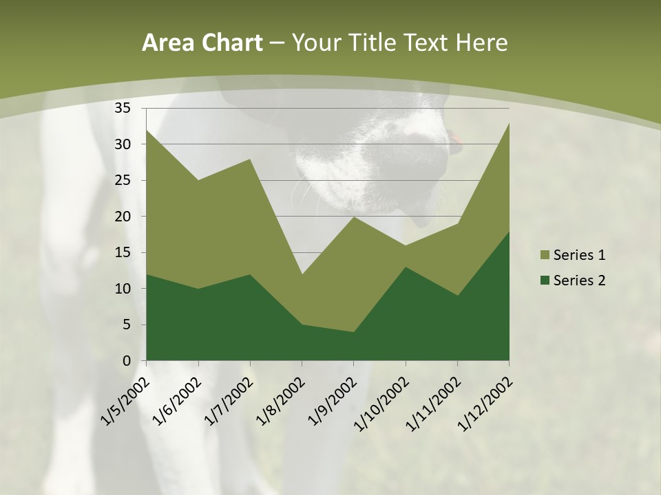 Puppy Of Pointer (Hunter Dog) With Funny Look PowerPoint Template