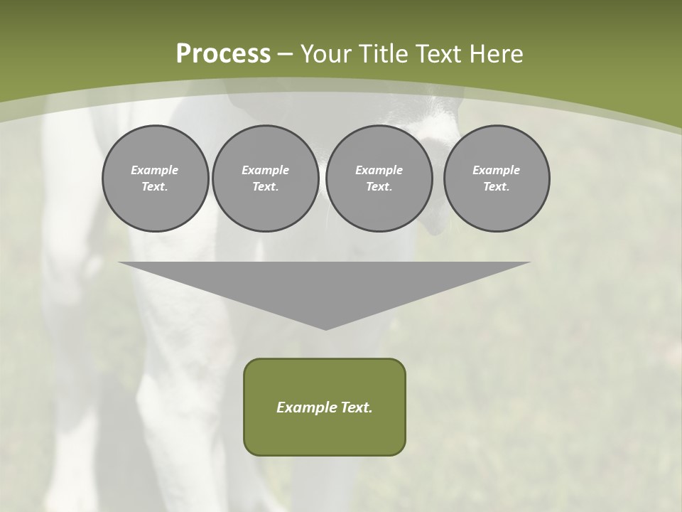 Puppy Of Pointer (Hunter Dog) With Funny Look PowerPoint Template