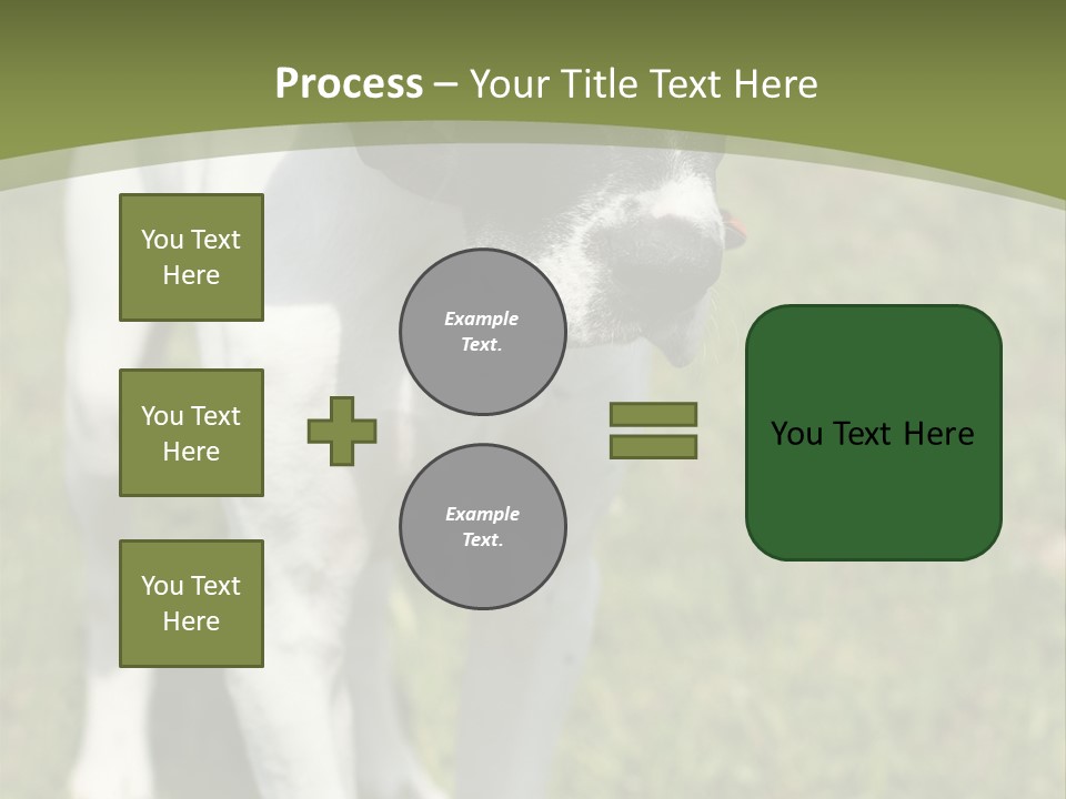 Puppy Of Pointer (Hunter Dog) With Funny Look PowerPoint Template