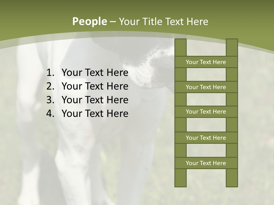 Puppy Of Pointer (Hunter Dog) With Funny Look PowerPoint Template