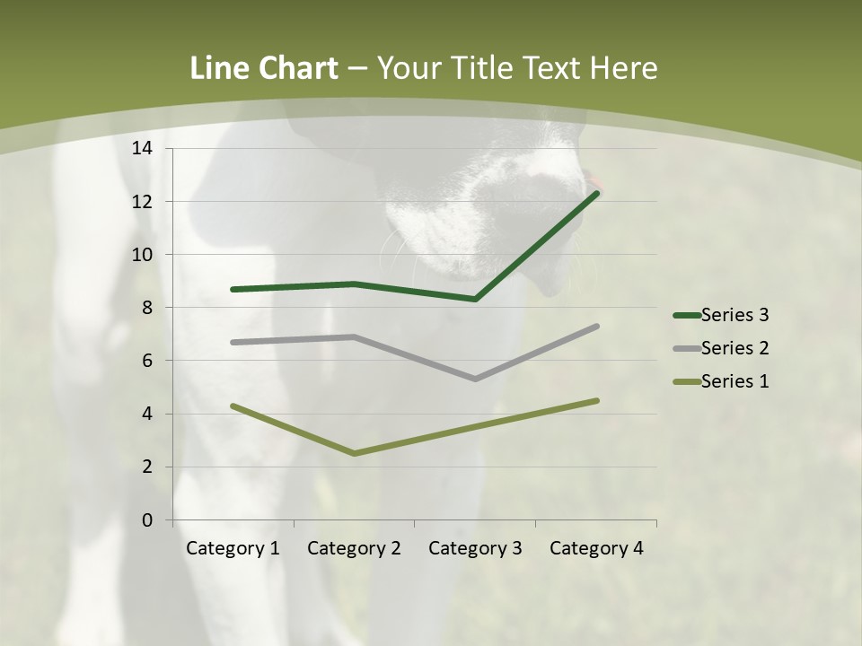 Puppy Of Pointer (Hunter Dog) With Funny Look PowerPoint Template