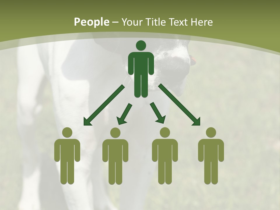 Puppy Of Pointer (Hunter Dog) With Funny Look PowerPoint Template