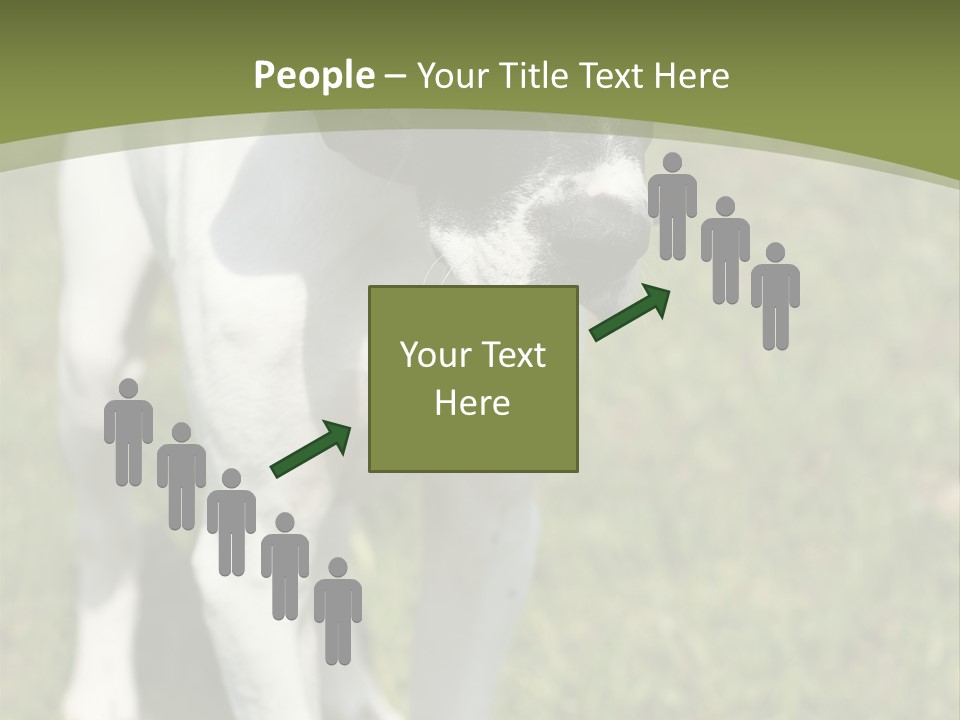 Puppy Of Pointer (Hunter Dog) With Funny Look PowerPoint Template