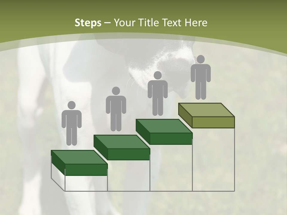 Puppy Of Pointer (Hunter Dog) With Funny Look PowerPoint Template