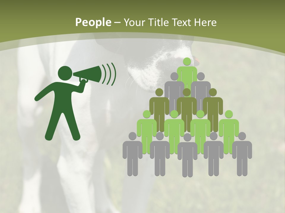 Puppy Of Pointer (Hunter Dog) With Funny Look PowerPoint Template