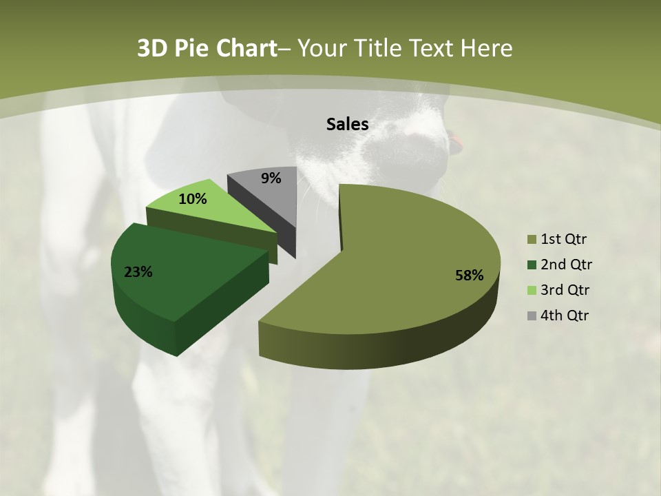 Puppy Of Pointer (Hunter Dog) With Funny Look PowerPoint Template