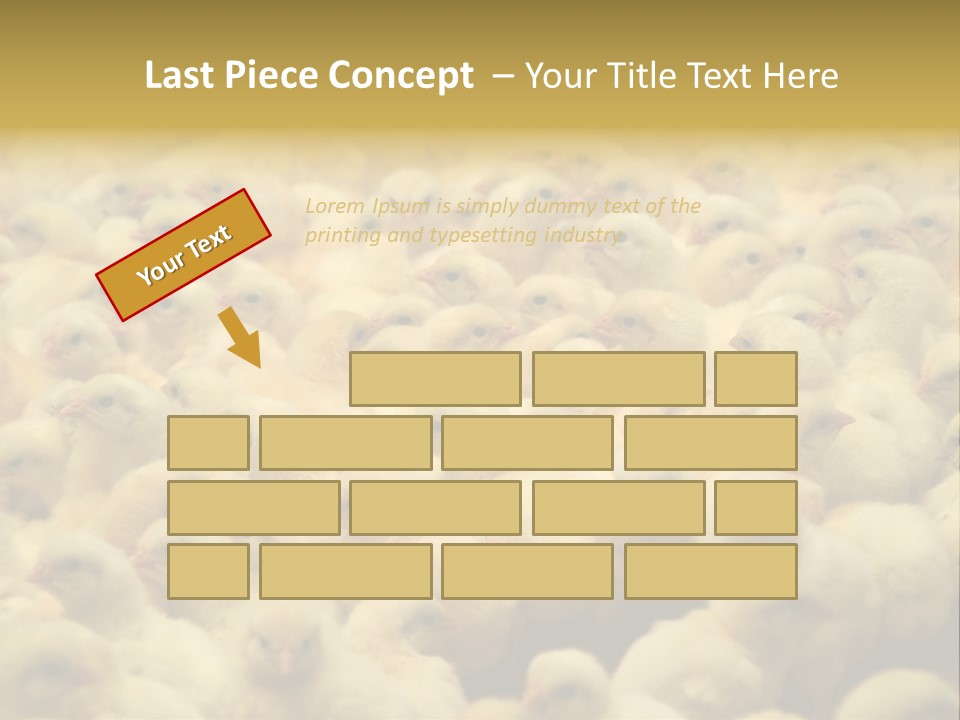 Newborn Chicks In The Poultry Farm PowerPoint Template