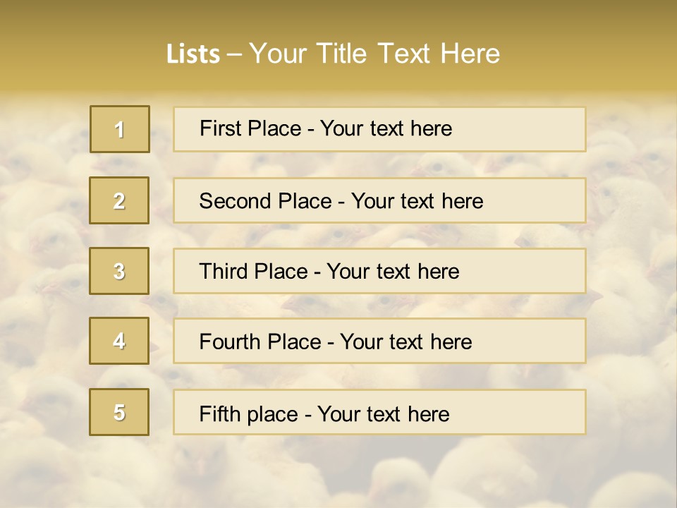 Newborn Chicks In The Poultry Farm PowerPoint Template
