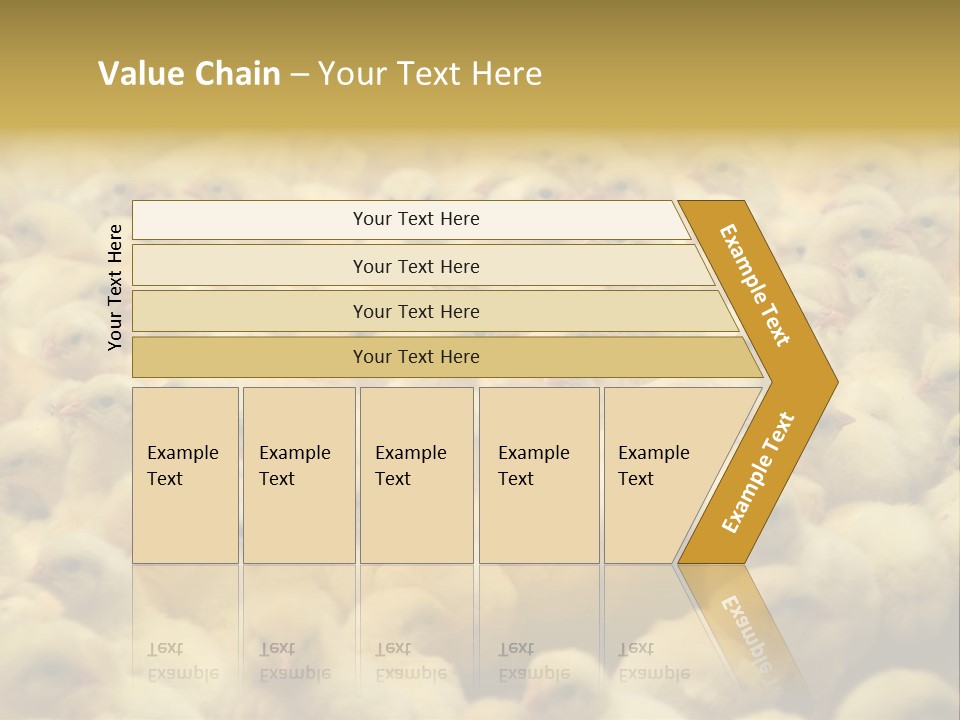 Newborn Chicks In The Poultry Farm PowerPoint Template