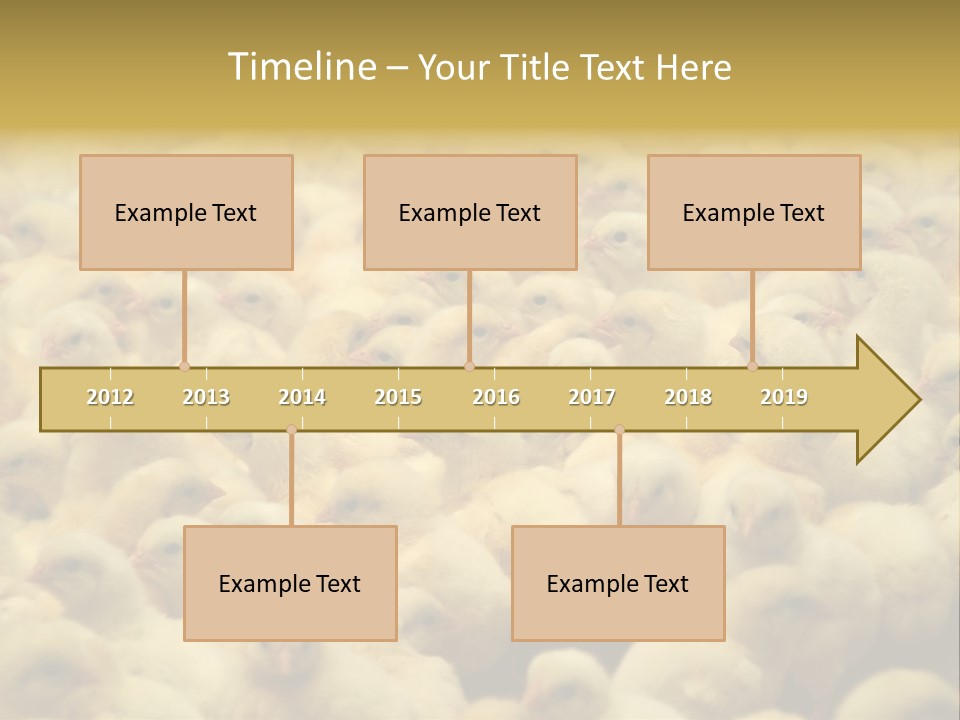 Newborn Chicks In The Poultry Farm PowerPoint Template