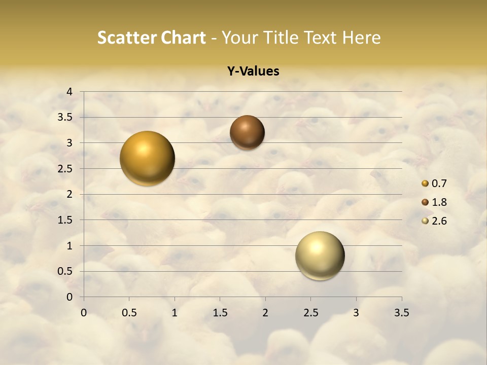Newborn Chicks In The Poultry Farm PowerPoint Template