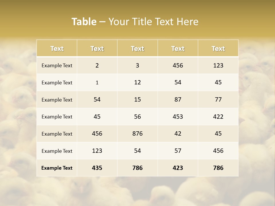 Newborn Chicks In The Poultry Farm PowerPoint Template