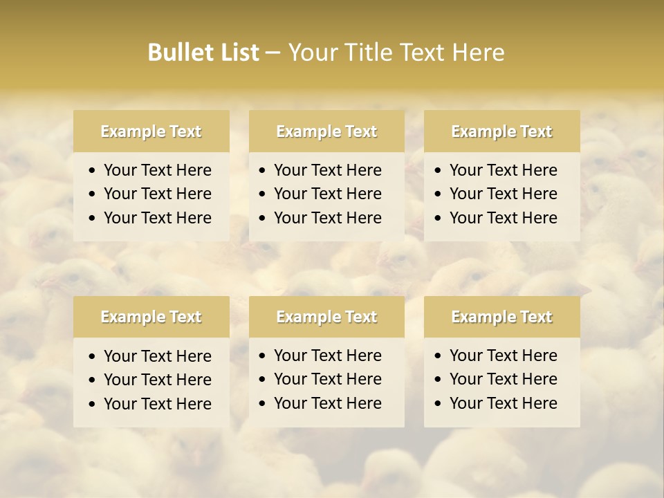 Newborn Chicks In The Poultry Farm PowerPoint Template