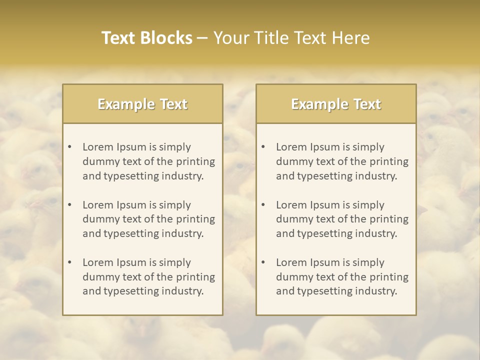 Newborn Chicks In The Poultry Farm PowerPoint Template