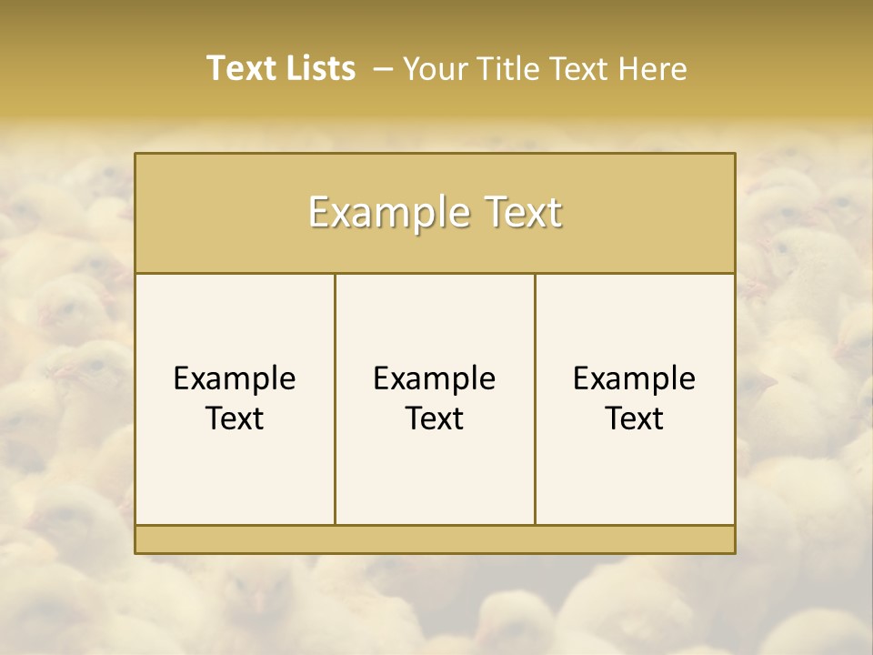 Newborn Chicks In The Poultry Farm PowerPoint Template