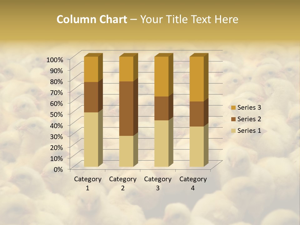 Newborn Chicks In The Poultry Farm PowerPoint Template