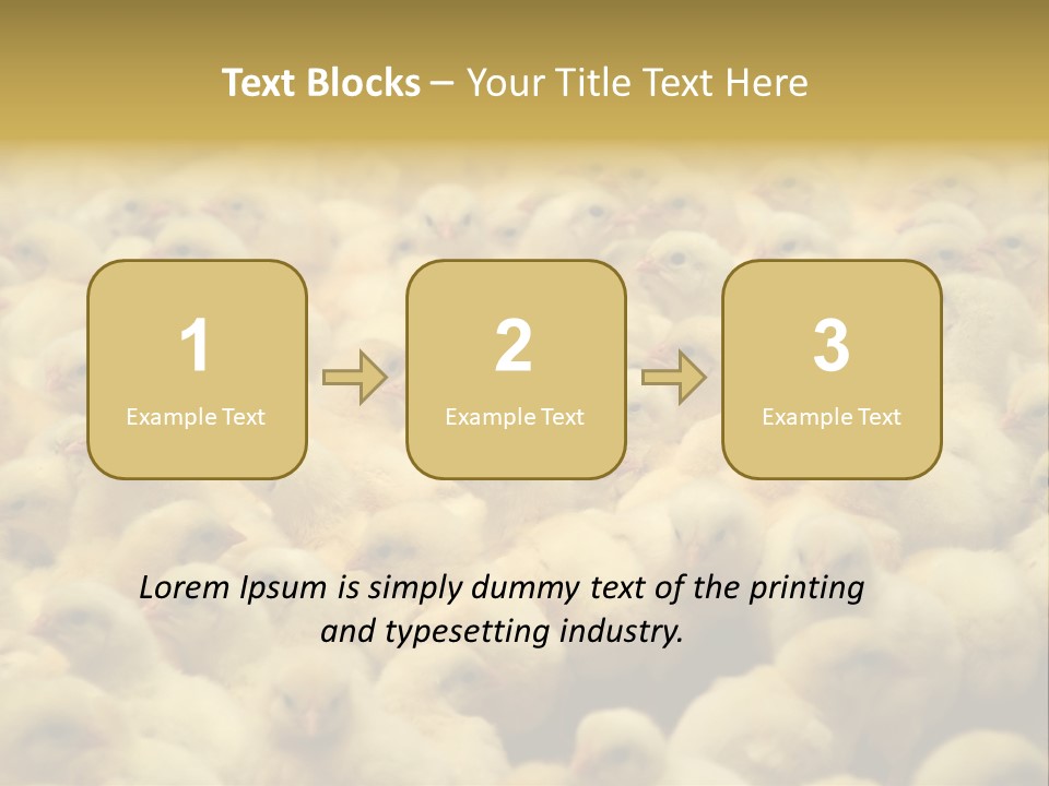 Newborn Chicks In The Poultry Farm PowerPoint Template