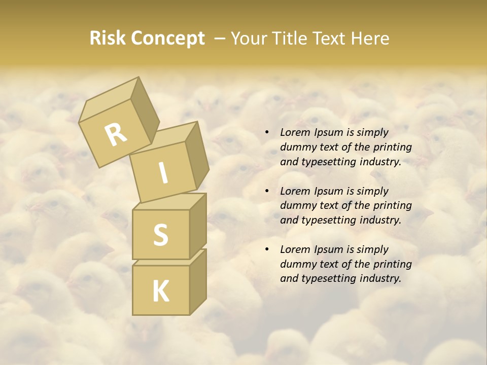 Newborn Chicks In The Poultry Farm PowerPoint Template