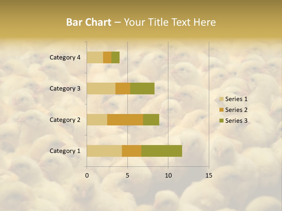 Newborn Chicks In The Poultry Farm PowerPoint Template