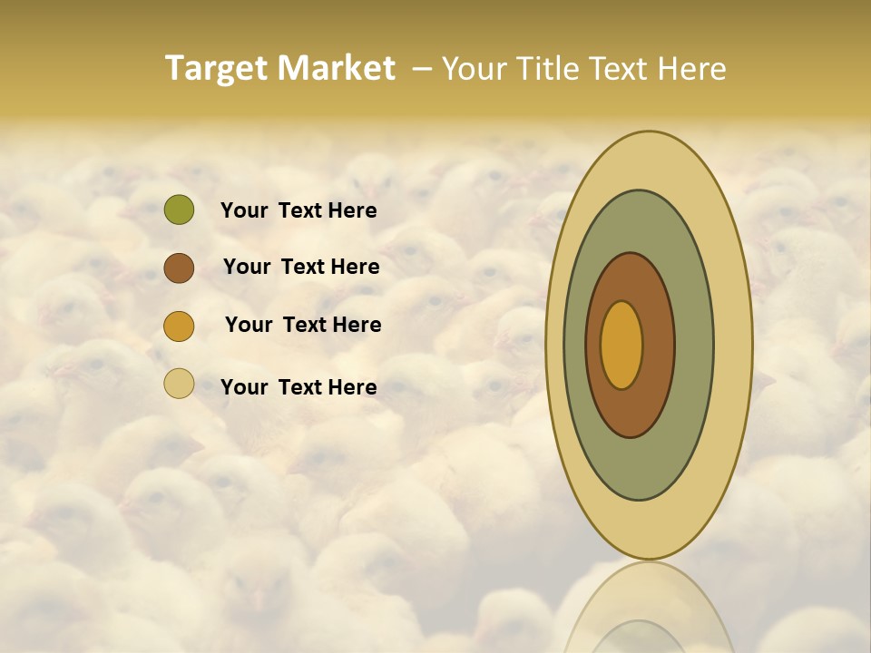 Newborn Chicks In The Poultry Farm PowerPoint Template