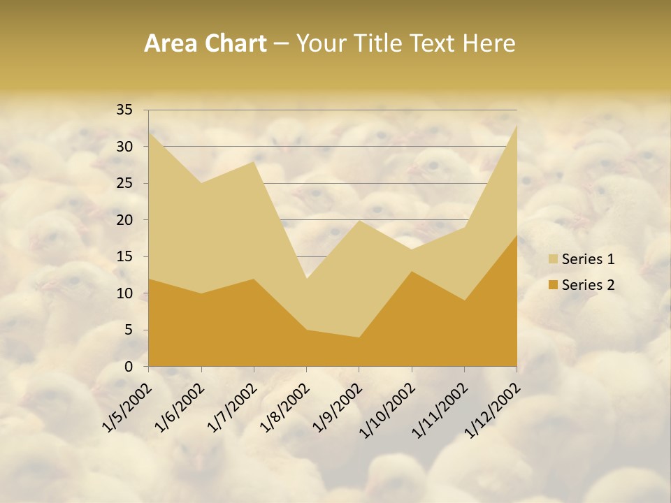 Newborn Chicks In The Poultry Farm PowerPoint Template