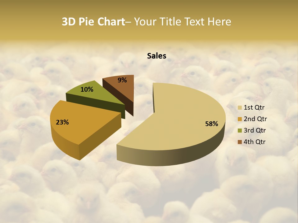 Newborn Chicks In The Poultry Farm PowerPoint Template