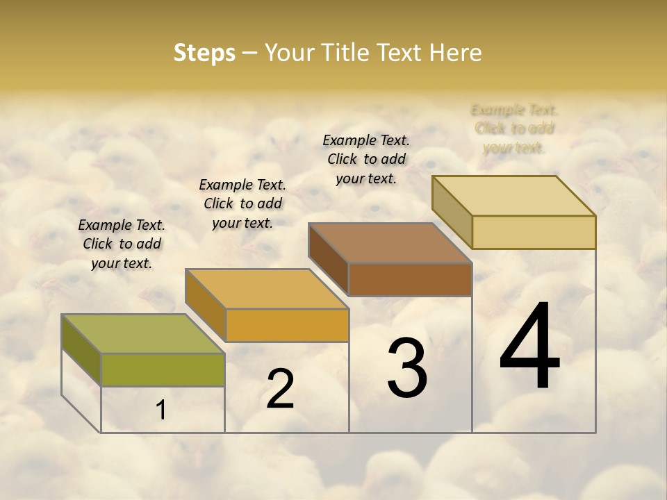 Newborn Chicks In The Poultry Farm PowerPoint Template