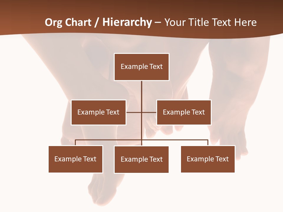 Beautiful Graceful Female Feet, Isolated On A White Background, Please See Some Of My Other Parts Of A Body Images: PowerPoint Template