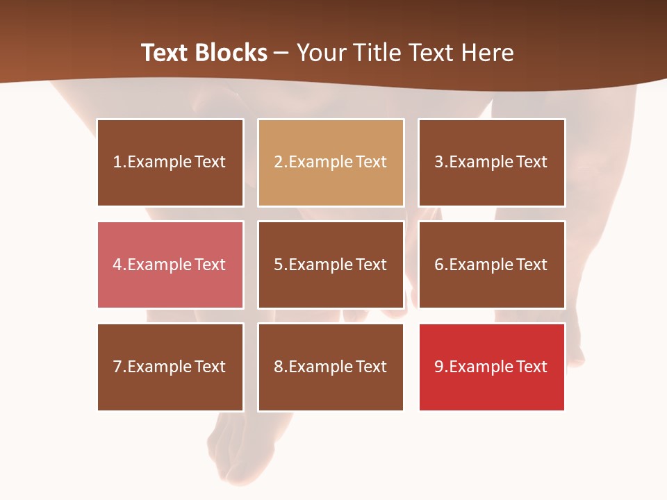 Beautiful Graceful Female Feet, Isolated On A White Background, Please See Some Of My Other Parts Of A Body Images: PowerPoint Template