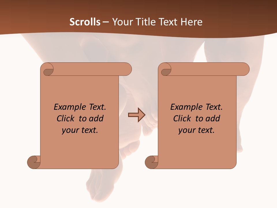 Beautiful Graceful Female Feet, Isolated On A White Background, Please See Some Of My Other Parts Of A Body Images: PowerPoint Template