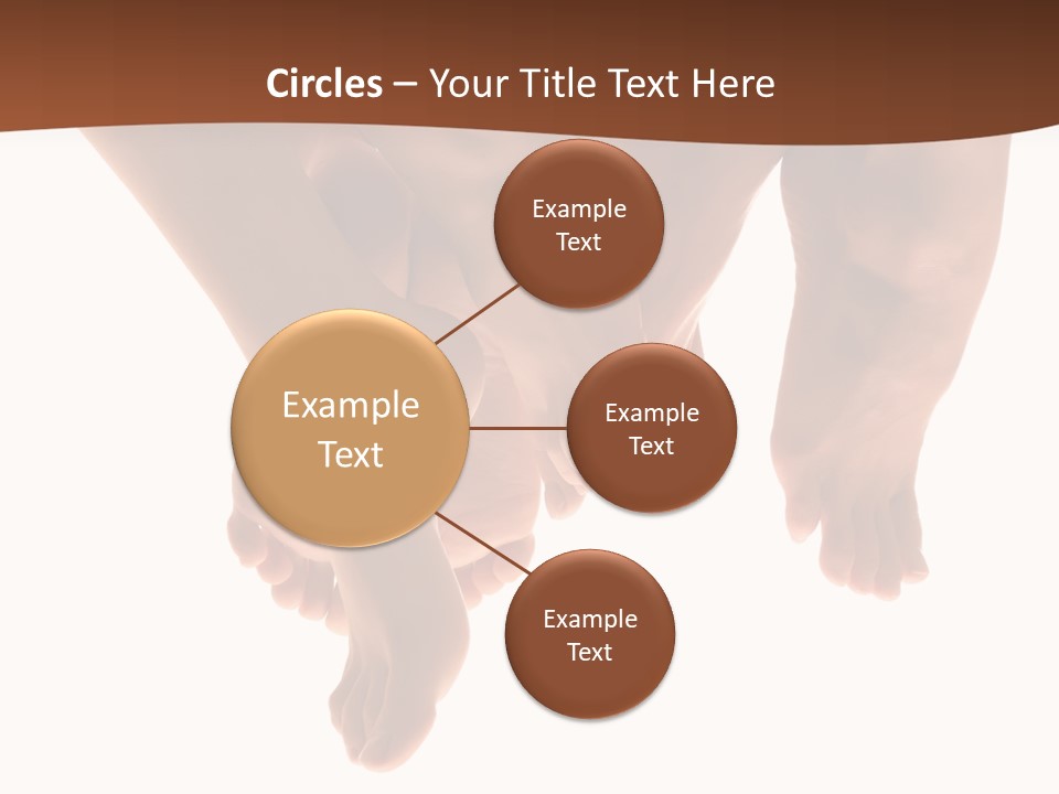 Beautiful Graceful Female Feet, Isolated On A White Background, Please See Some Of My Other Parts Of A Body Images: PowerPoint Template