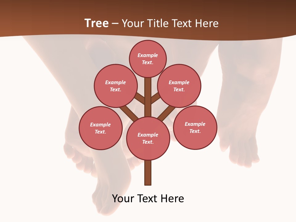 Beautiful Graceful Female Feet, Isolated On A White Background, Please See Some Of My Other Parts Of A Body Images: PowerPoint Template