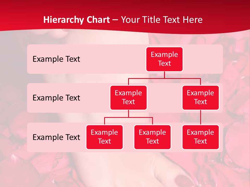 Pair Of Well-Groomed Feet Against From Petals Of Red Roses PowerPoint Template