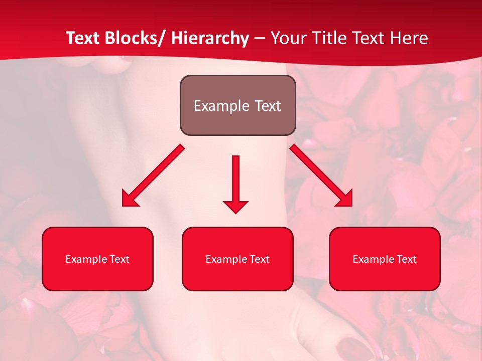 Pair Of Well-Groomed Feet Against From Petals Of Red Roses PowerPoint Template