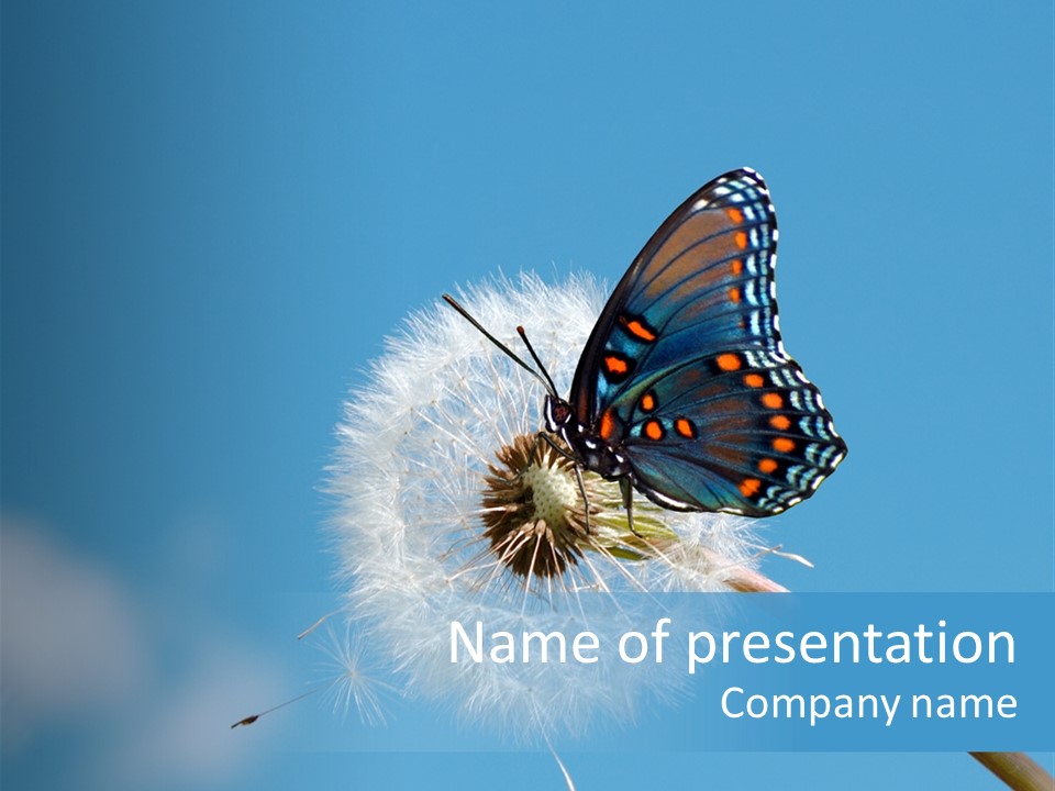 Wonderful Spring Time PowerPoint Template