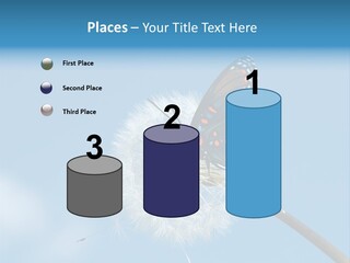 Wonderful Spring Time PowerPoint Template