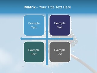 Wonderful Spring Time PowerPoint Template