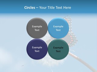 Wonderful Spring Time PowerPoint Template